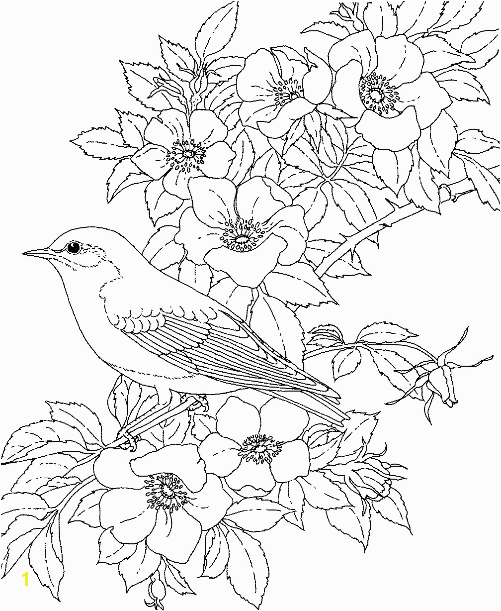 Colorado State Bird Coloring Page Adult Coloring Pages Flowers to and Print for Free