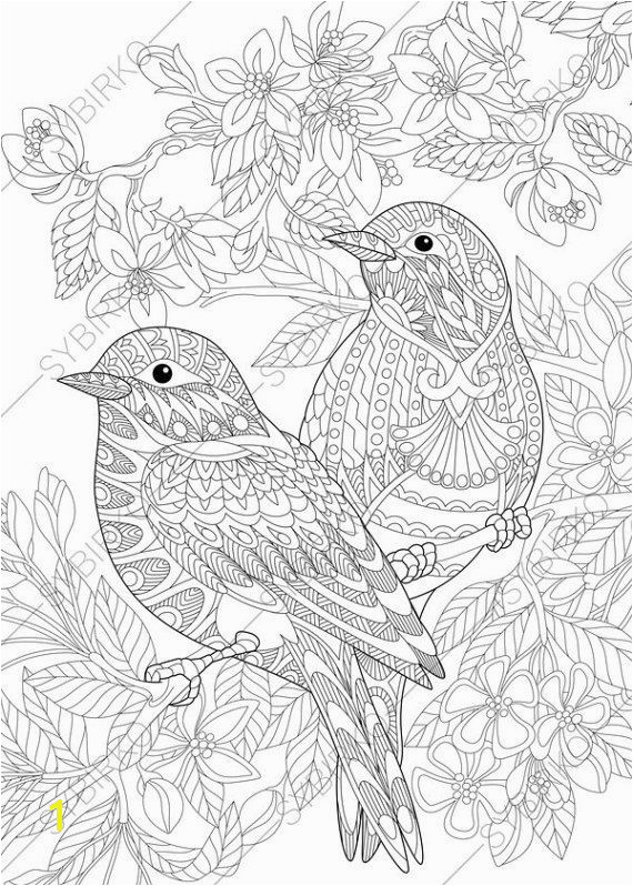 Sparrow Birds Adult Coloring Book Page by ColoringPageExpress