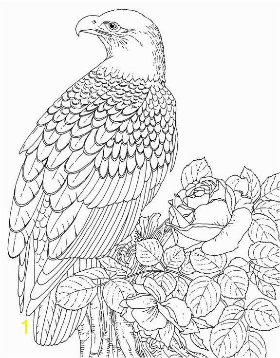 Eagles Lions of the Sky Coloring Pages