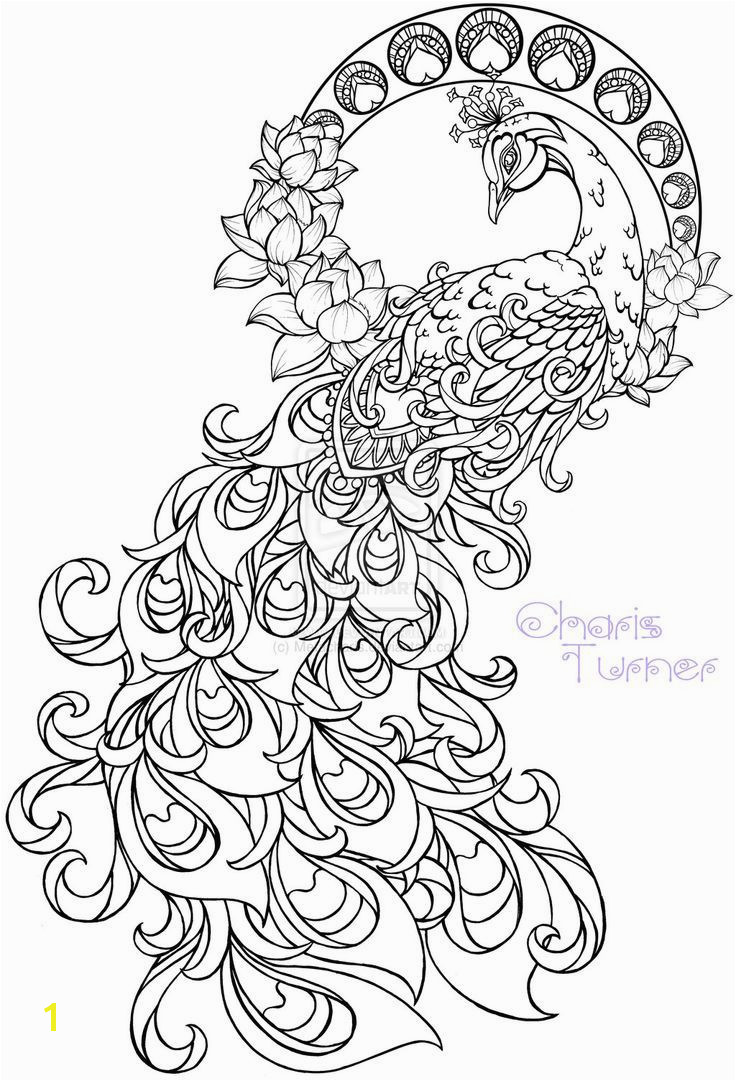 Realistic peacock coloring pages free coloring page printable