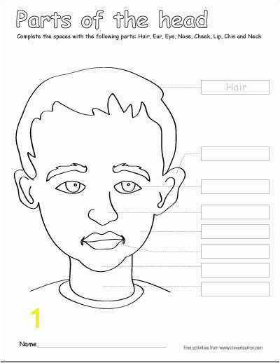 Label And Color The Parts Head