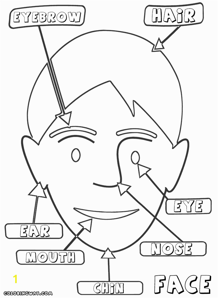 Coloring Pages Face Parts Coloring Pages Face Parts