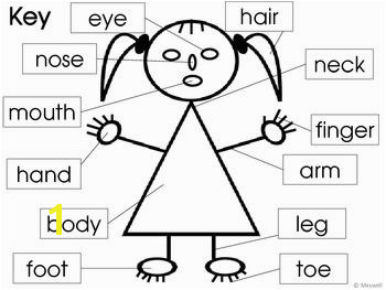 Parts of the Body and Face Posters and Worksheets TpT Misc Lessons Pinterest