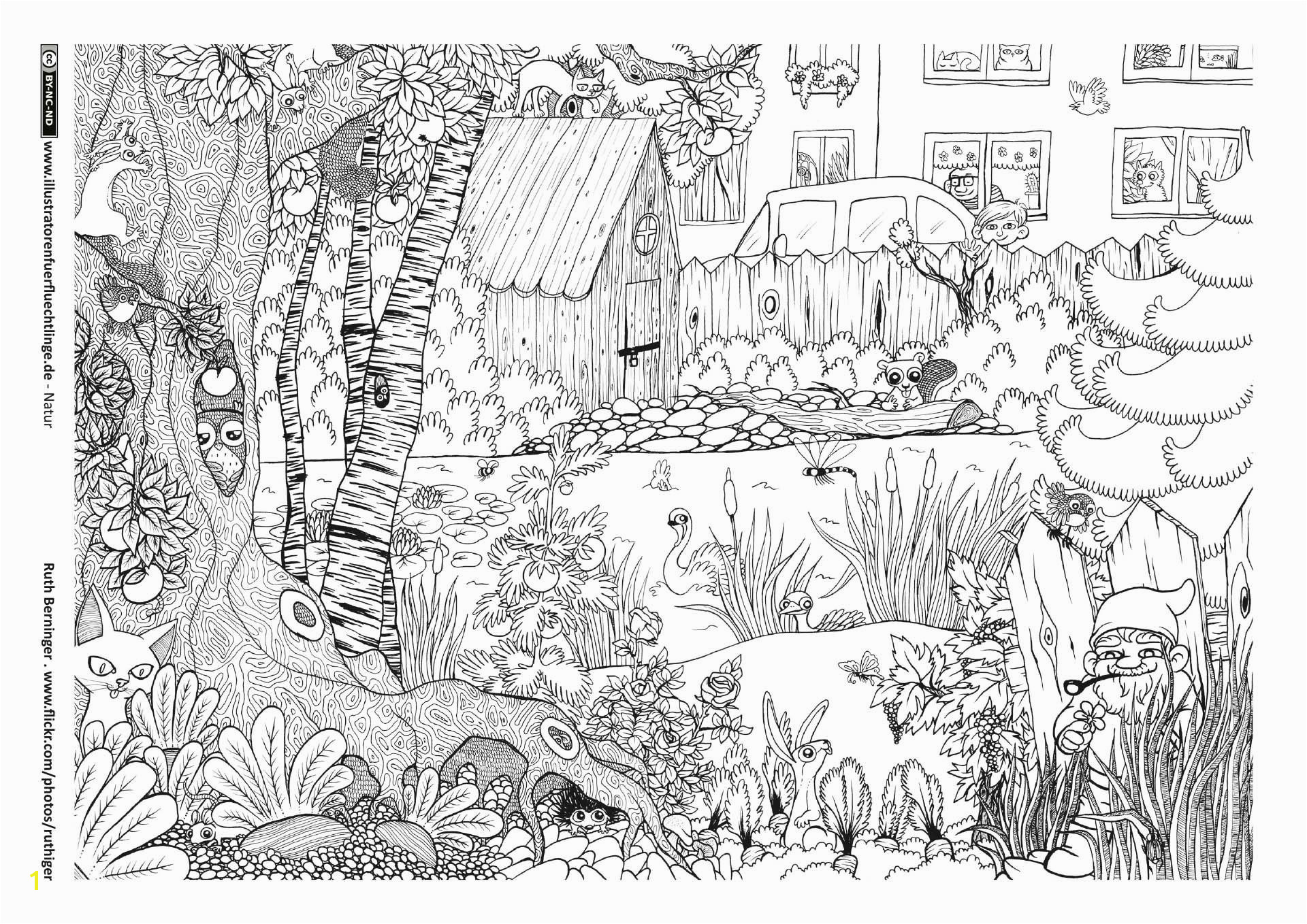 Coloring Pages for Adults with Hidden Objects Garten Tiere Wimmelbild … Malen