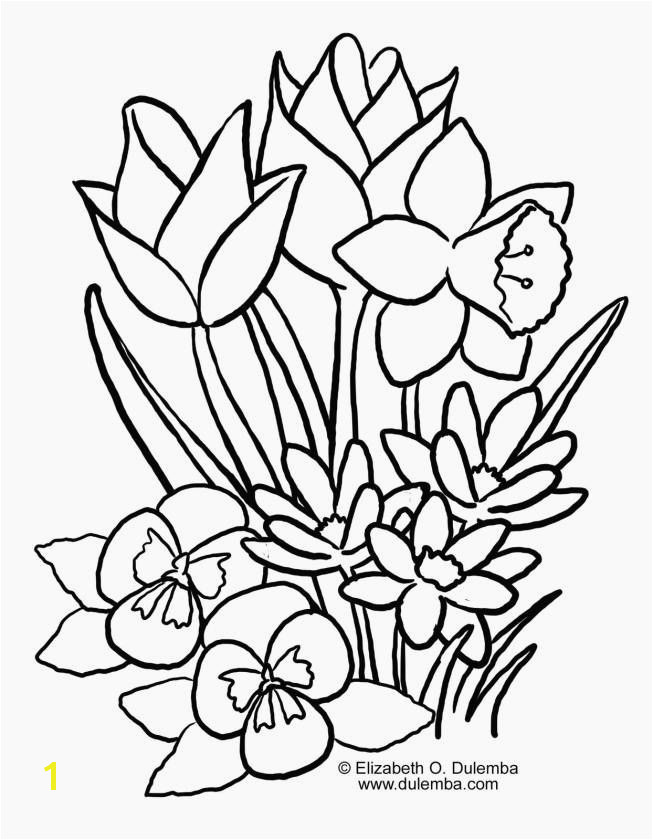 Coloring Pages for Spring 13 Elegant Spring Flowers Coloring Pages