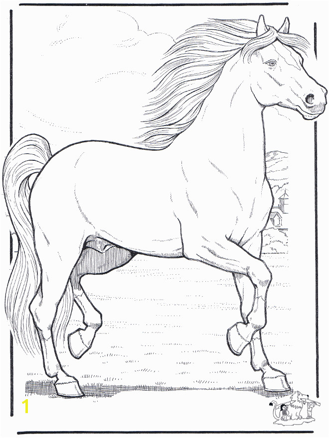 FunnyColoring Animals coloring pages b Horses b