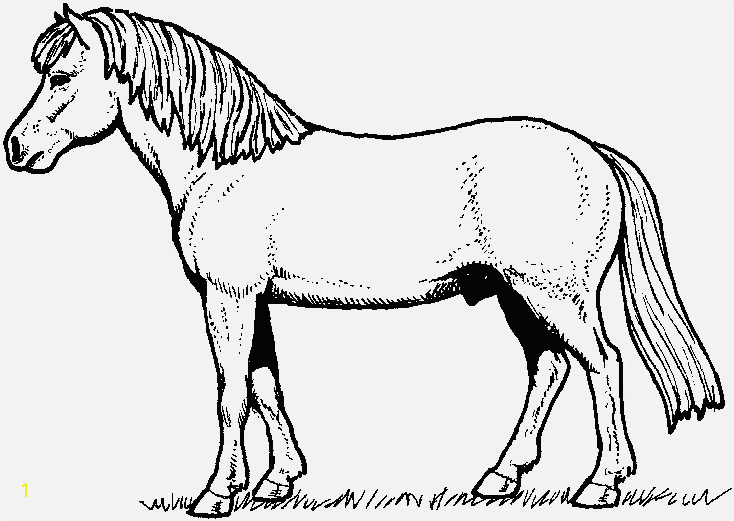 Pferde Ausmalbilder Verschiedene Bilder Färben Horse Coloring Pages Pferde Ausmalbilder Beispielbilder Färben Christmas Coloring Pages