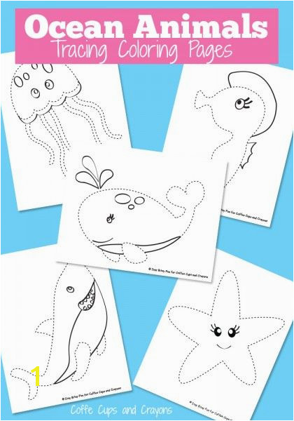 Ocean Animals Tracing Coloring Pages Ocean Activities Preschool Themes Preschool Activities Preschool Printables