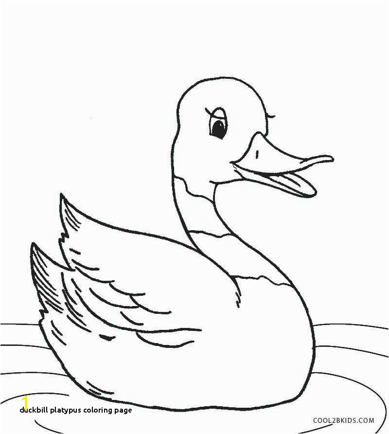 Coloring Pages Of Duck Dynasty Duckbill Platypus Coloring Page 11 Coloring Page Duck Kids Coloring