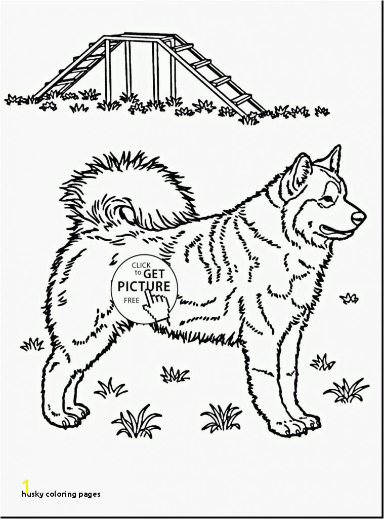 Coloring Pages Of Huskies Husky Coloring Pages Husky Coloring Pages New Husky Coloring 0d Free