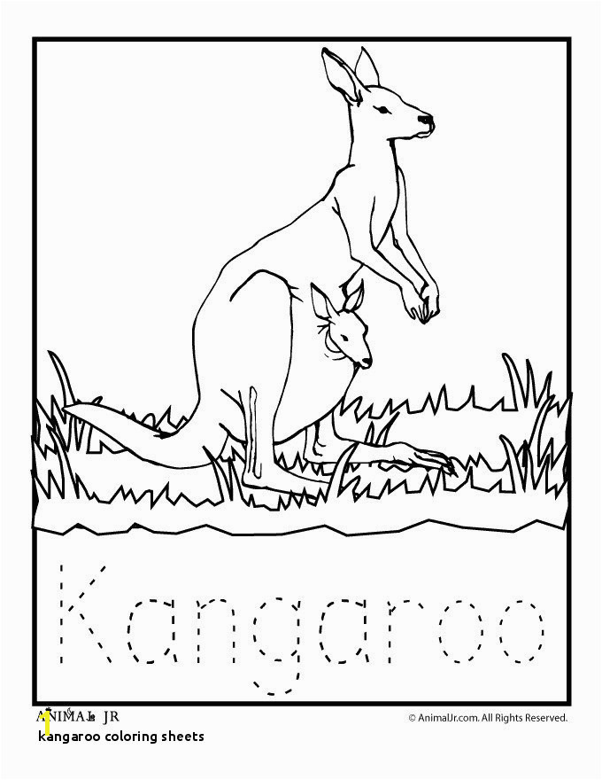 Kangaroo Coloring Page Kangaroo Coloring Page Inspirational Coloring