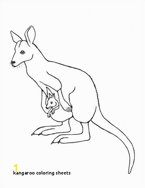 Kangaroo Coloring Sheets Kangaroo Coloring Page Australia