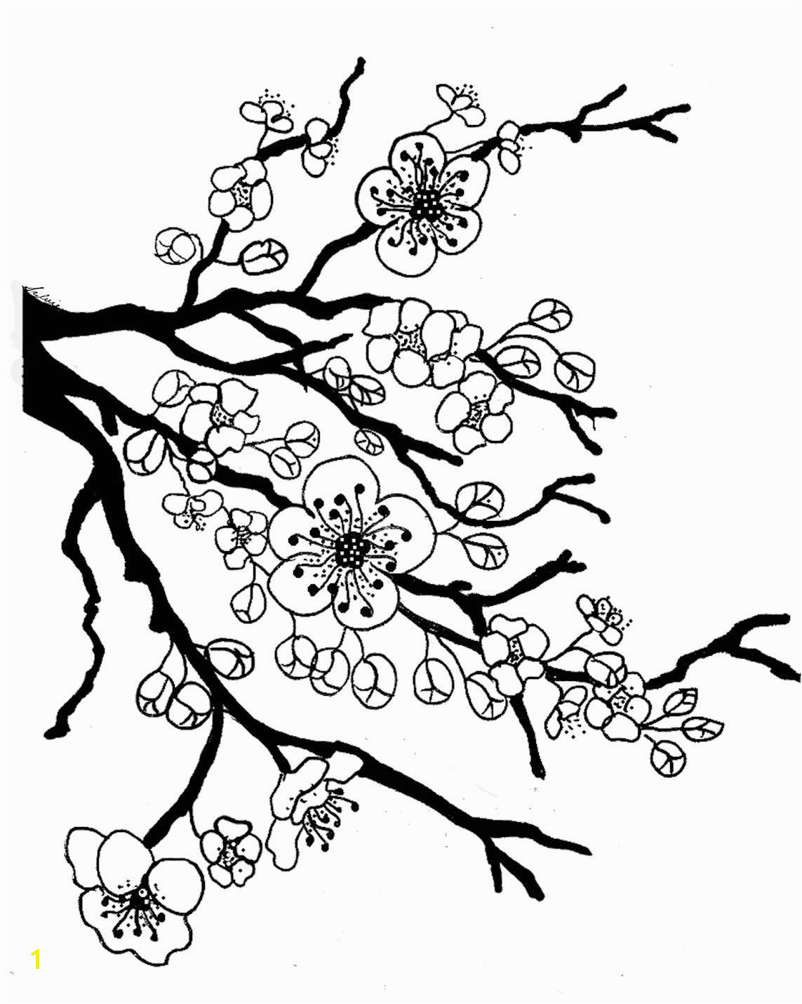 Coloring Pages Of Trees and Flowers Sakura Bloom Drawing
