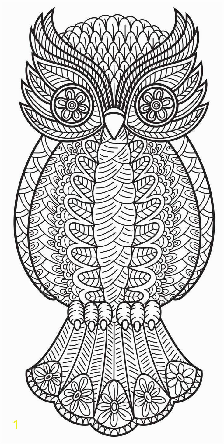 Owl Design Coloring Pages Best Adult Coloring Pages Owl Free Collection Owl Design Coloring