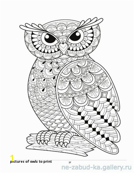 Free Owl Coloring Pages Coloring Pages Line New Line Coloring 0d Owl