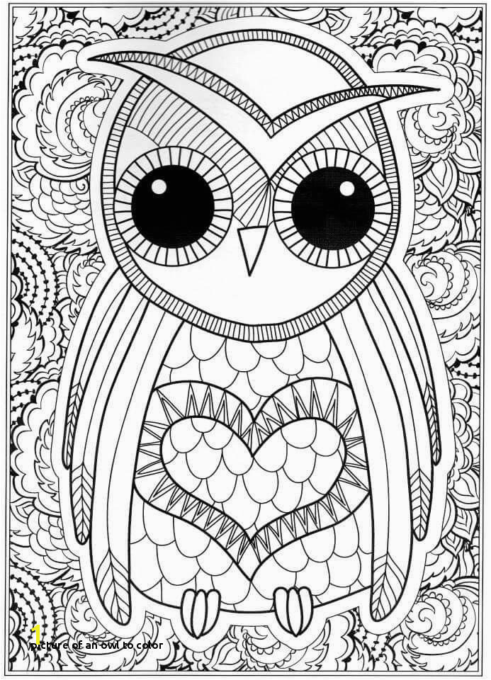 Picture An Owl to Color Free Owl Coloring Pages Coloring Pages Line New Line Coloring 0d