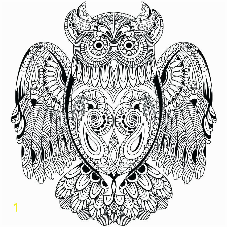 Coloring Pages Owls Printable Owl Coloring Pages Lovely Cool Coloring Page Unique Witch