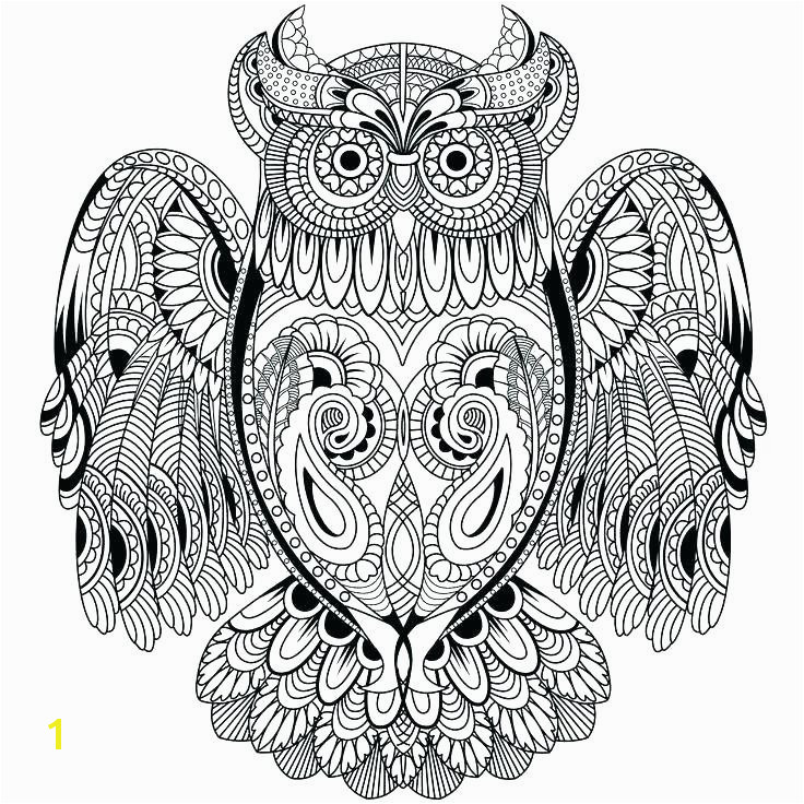 Coloring Pages Owls Printable Owl Coloring Pages Lovely Cool Coloring Page Unique Witch