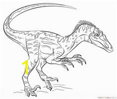 Velociraptor coloring page from Velociraptor category Select from printable crafts of cartoons nature animals Bible and many more