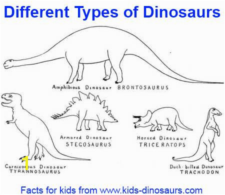 Dinosaur Types