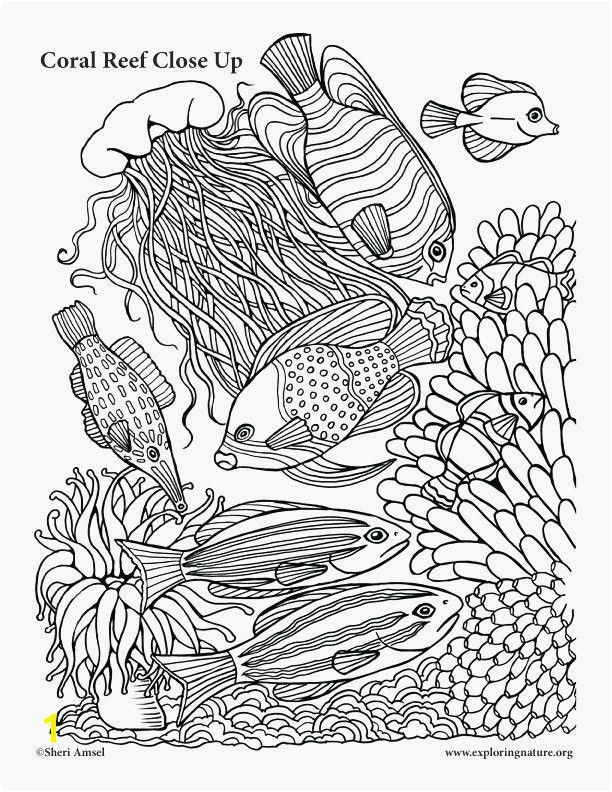 Coral Coloring Pages Luxury Coloring Pages Coral Reefs 10 Unique Coral Coloring Pages