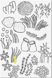 Drawing Underwater Coral Reef Sketch Coloring Page