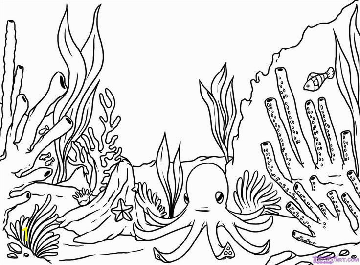 Coral Coloring Pages Coral Coloring Pages Inspirational How to Draw A Coral Reef Step 8