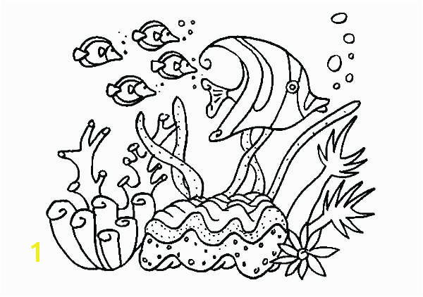 coral coloring pages kids for girls in snazzy page printable draw ocean of