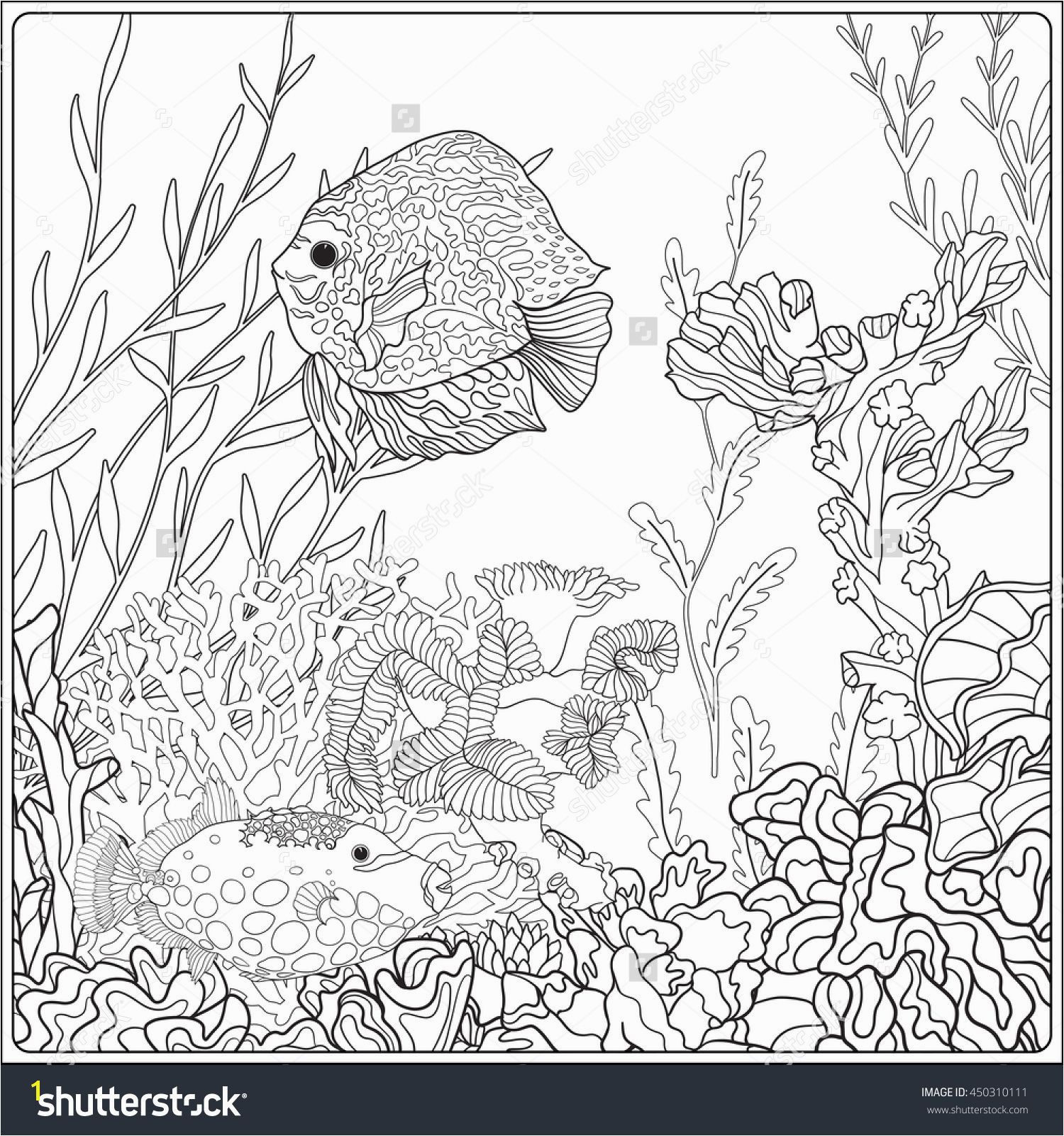 Adult coloring book Coloring page with underwater world coral reef Corals fish and seaweeds Outline vector illustration
