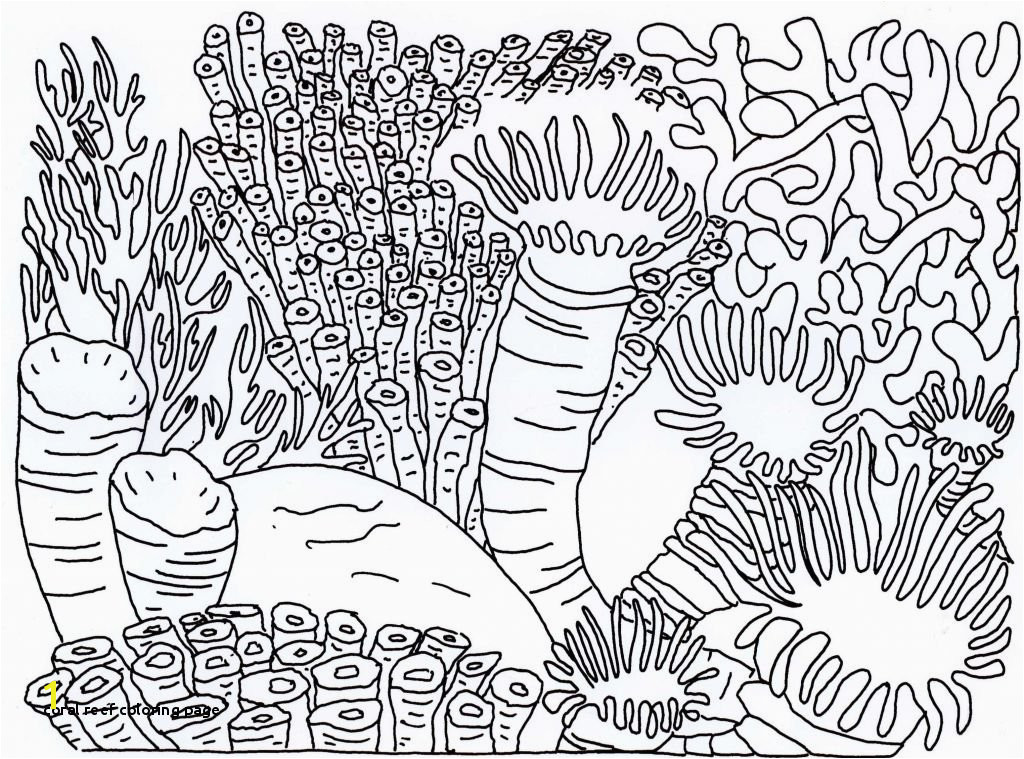 Coral Reef Coloring Page Proven Coloring Pages Coral Reefs Reef Page 5763 Unknown Ruva