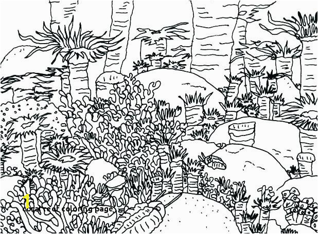 Coral Reef Coloring Page Coral Reef Coloring Pages Coral Reef Coloring Sheet Barrier Reef