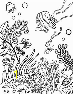 Coral Reef Coloring Pages Drawing Underwater Coral Reef Coral Reef Pinterest