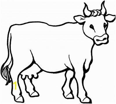 Cow Head Coloring Page | divyajanan