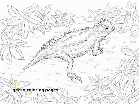 Gecko Coloring Pages 13 Unique Crested Gecko Coloring Page Graph