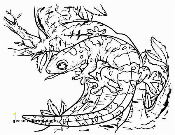 Gecko Coloring Pages Beautiful 11 Best Color Me Happy Water