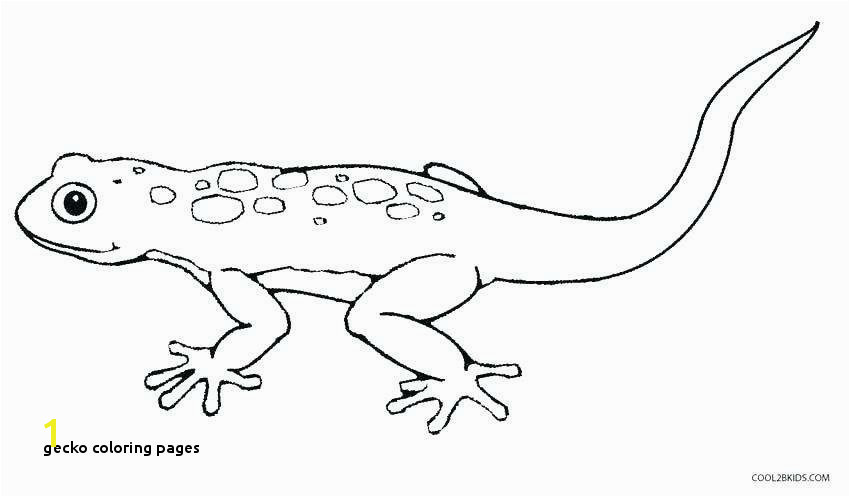 Gecko Coloring Pages Gecko Coloring Pages Best Gecko Coloring Page Best the Best 100