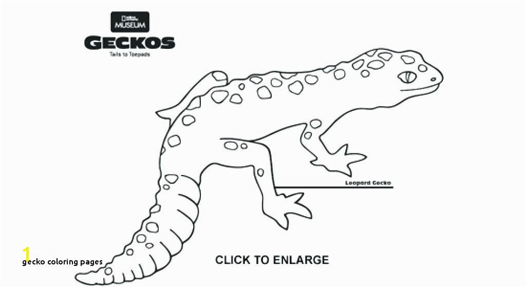 Gecko Coloring Pages Leopard Gecko Coloring Pages 72 with Leopard Gecko Coloring Pages