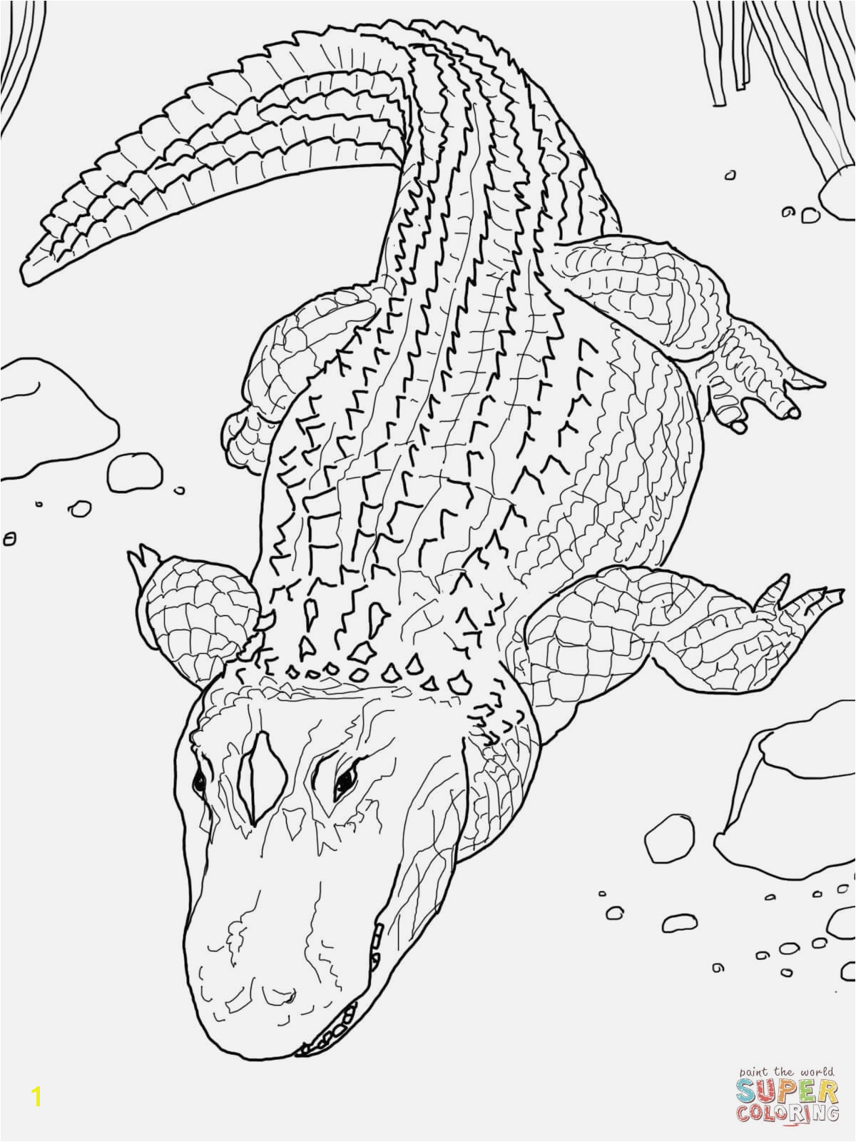 Alligator Coloring Pages Best Easy Football Printables Coloring Pages Best Football Ball Coloring