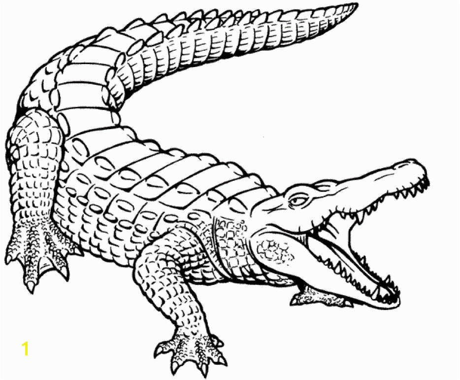 Cute Alligator Coloring Pages Free Printable Crocodile Coloring Pages for Kids