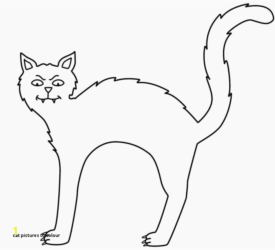 Cat to Colour Unique Best Od Dog Coloring Pages Free Colouring Pages Fun Time