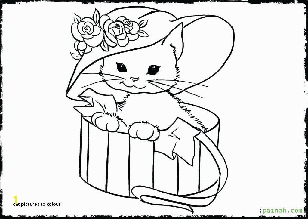 Cute Kitty Cat Coloring Pages Cat to Colour Kitten Color Pages Luxury Kitty Cat Coloring