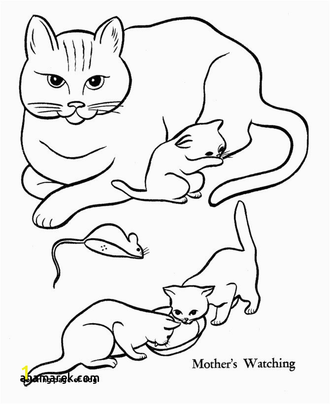 Cute Kitty Cat Coloring Pages Coloring Page Dog Dog and Cat Coloring Pages Luxury Best Od Dog