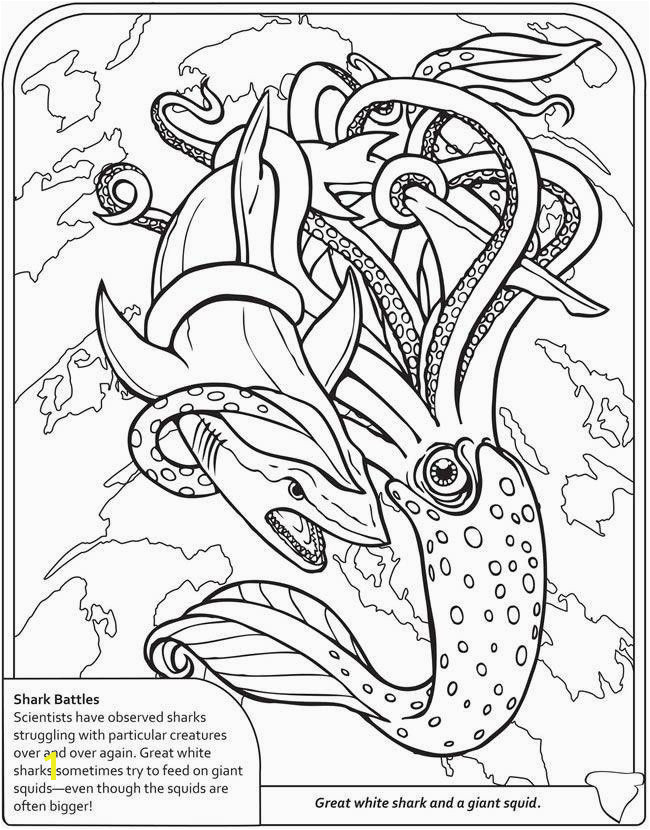 Squid Coloring Pages Related Post