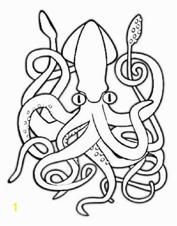 Squid Coloring Pages Related Post