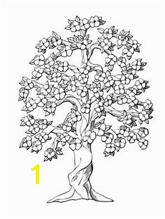 Dogwood Tree Coloring Page 52 Best Trees Coloring Sheets Images