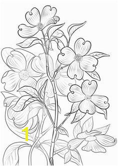 Flowering Dogwood Coloring page Printable Crafts Free Printables Free Printable Coloring Pages Pattern