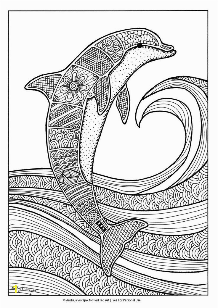 Free dolphin colouring page for grown ups nyyoung