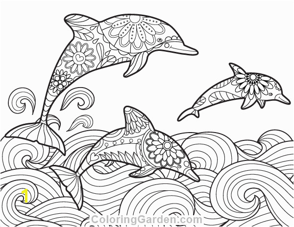 Free printable dolphin adult coloring page Download it in PDF format at