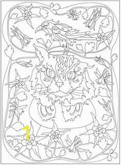 Wel e to Dover Publications Animal Coloring Pages Adult Coloring Pages Dover Coloring Pages