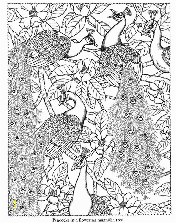 Dover Sampler Coloring Pages | divyajanani.org